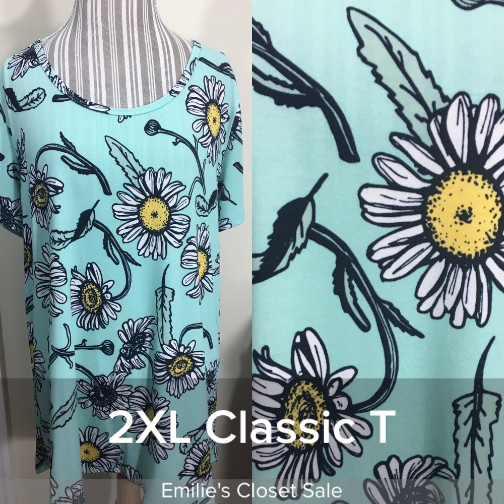 EUC LuLaRoe Classic Tee